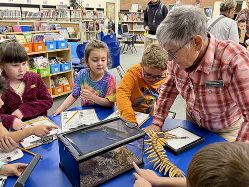 Students point to a habitat with desert insects inside