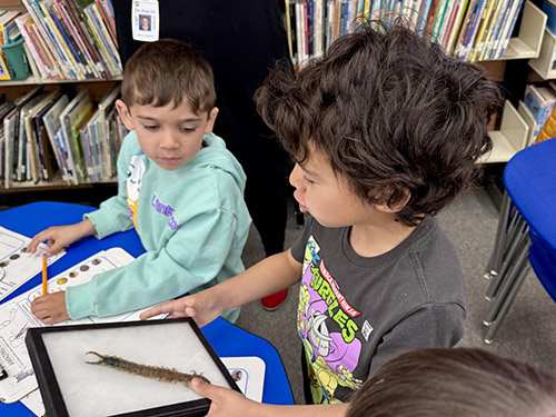 Students look at a millipede